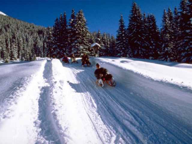 Ferienwohnungen Christine Waidring