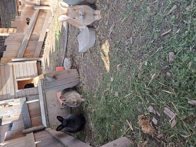 Appartements Leogang