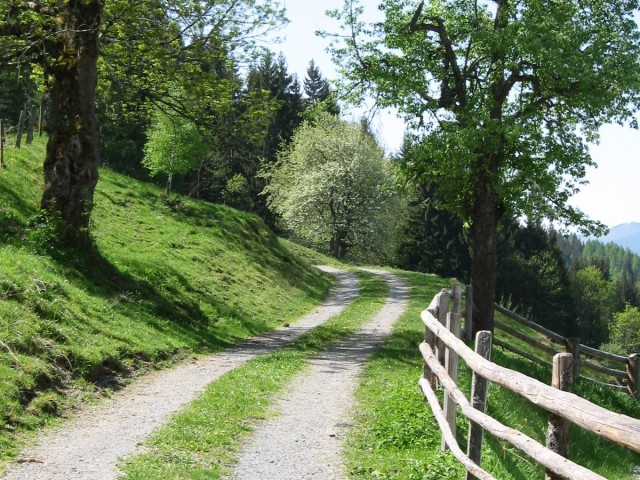 Almhütte "Günzberg" in Saalfelden