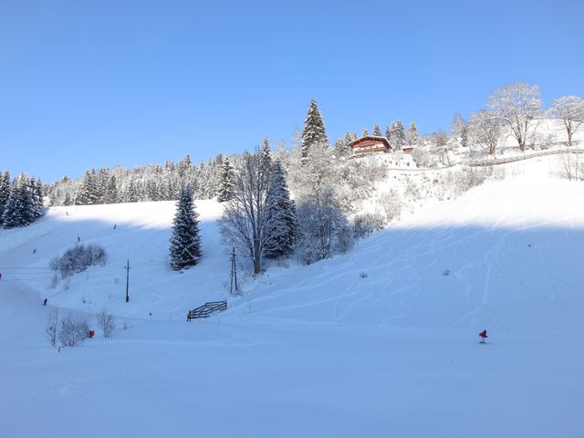 Ferienhaus Neureiter 