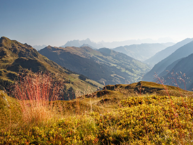 Wimreiter Appartements