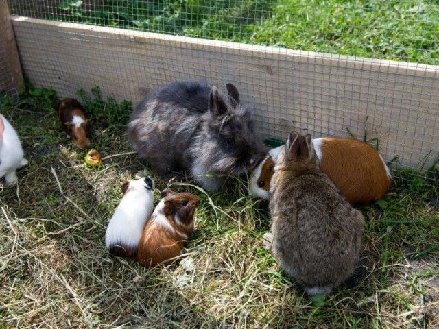 Zimmer mit Frühstück Haarlehen