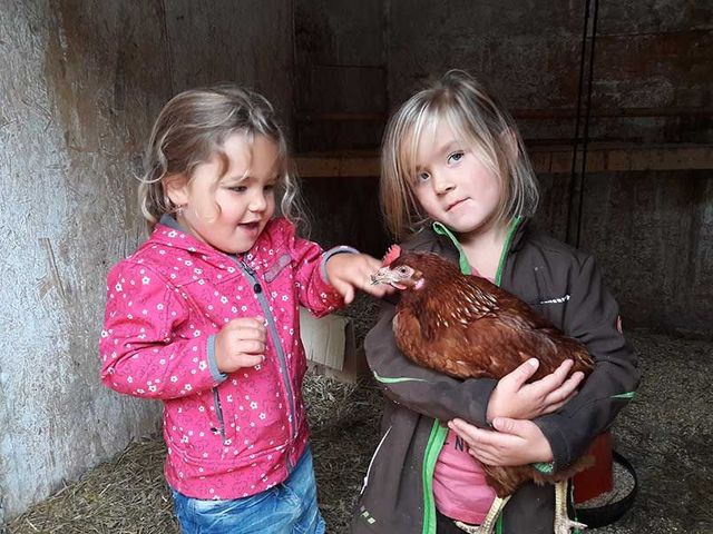 Familienbauernhof Bairauhof