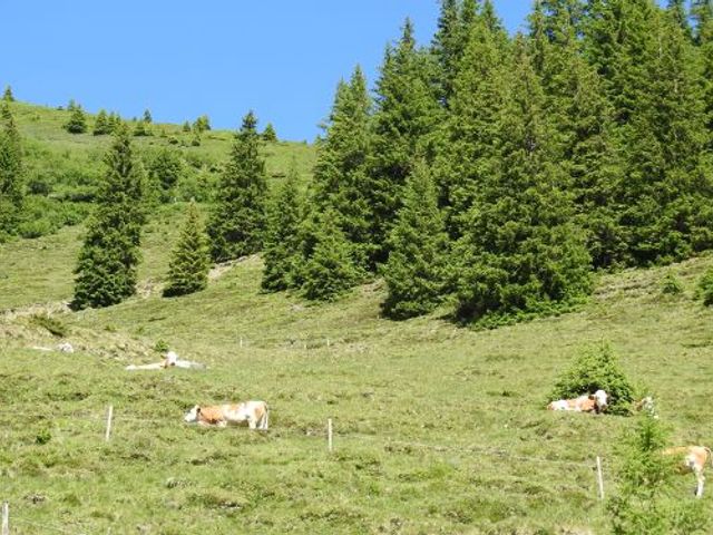 Ferienwohnungen Ganschitter