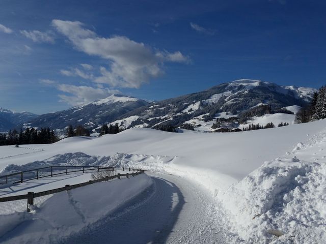 Ferienhaus Widholzhof