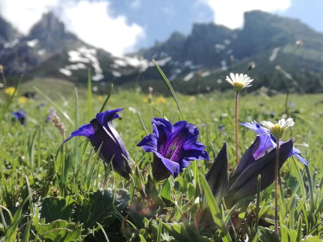 Ferienwohnungen Berg Sait
