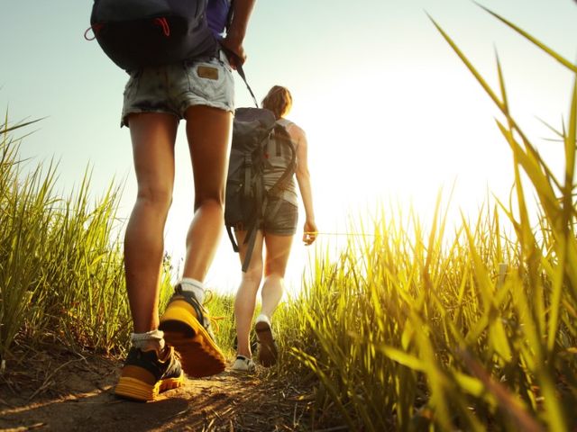 Ferienwohnungen Pfistererbauer