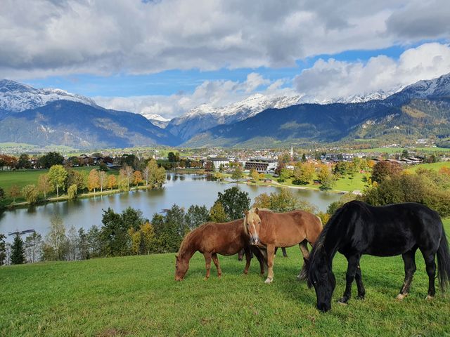 Sportchalet Viehhofen Ferienwohnungen
