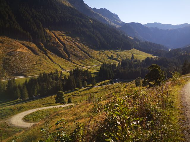 Sportchalet Viehhofen Ferienwohnungen