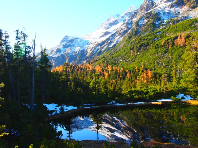 Bauernhof Tischlerwirt