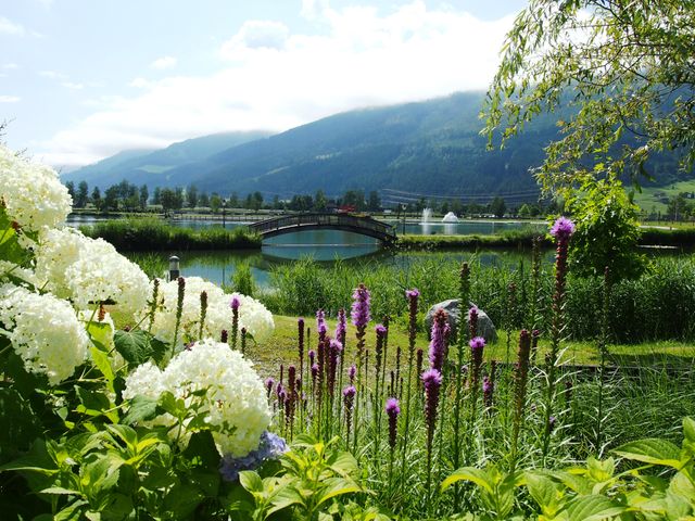 Bauernhof Tischlerwirt