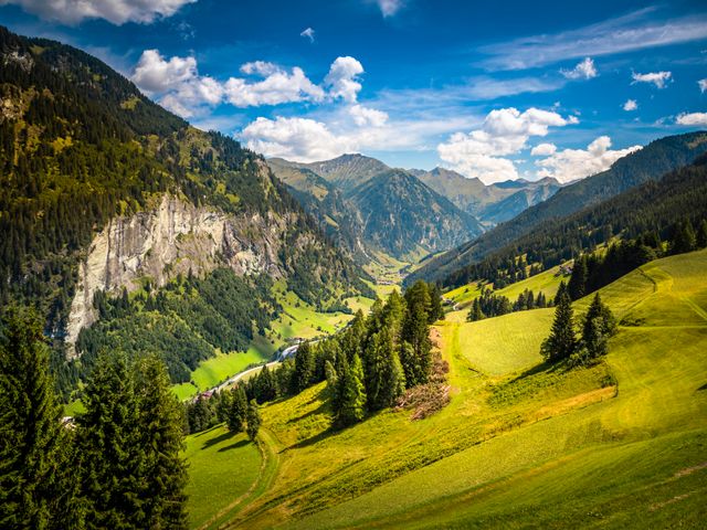 Bergbauernhof Neuhaus in Hüttschlag