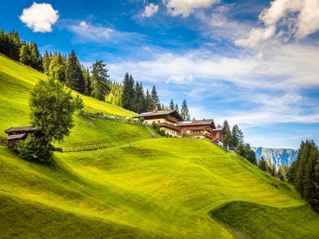 Bergbauernhof Neuhaus in Hüttschlag