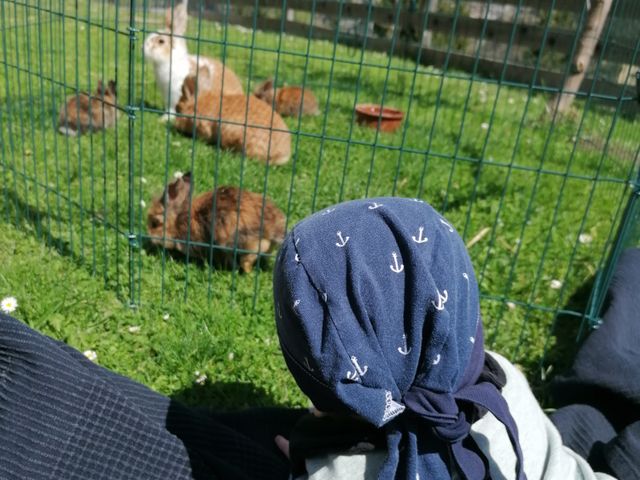 Bergbauernhof Neuhaus in Hüttschlag