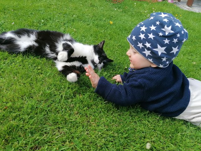 Bergbauernhof Neuhaus in Hüttschlag