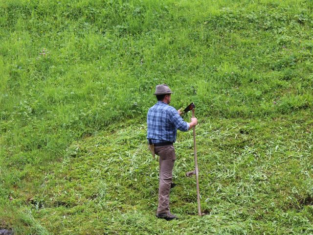 Bergbauernhof Neuhaus in Hüttschlag