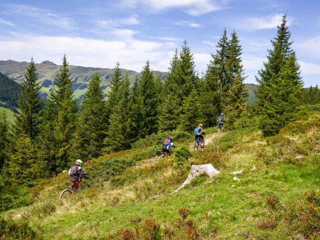 Sportchalet Viehhofen Ferienhaus