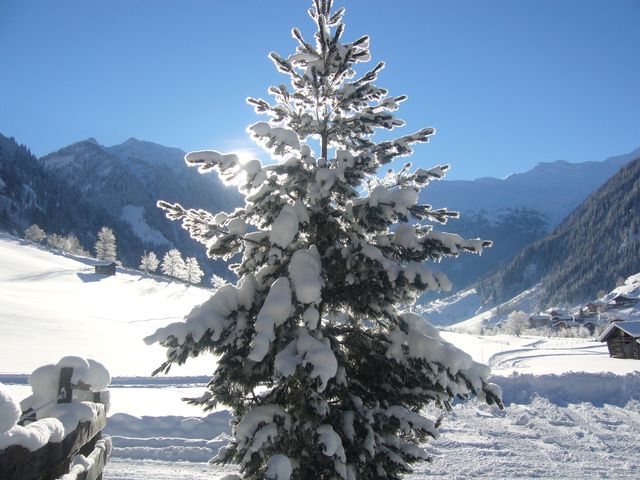 Ferienwohnung Talschlussblick