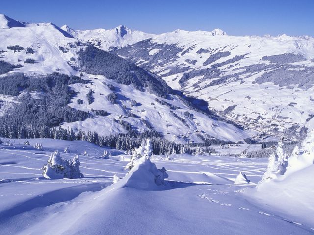 Ferienwohnungen Stefanie & Bergerhäusl