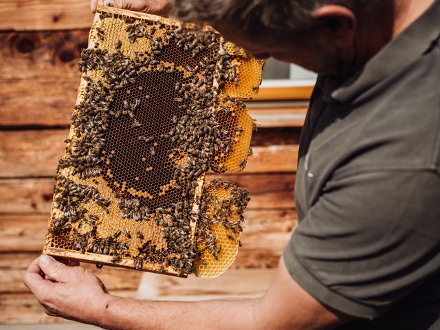 Almhütte Mitterstall